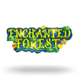 Enchanted Forest